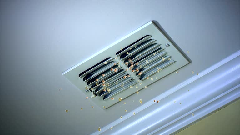 Best Dryer Vent Cleaning Services  in Plainfield Village, CT
